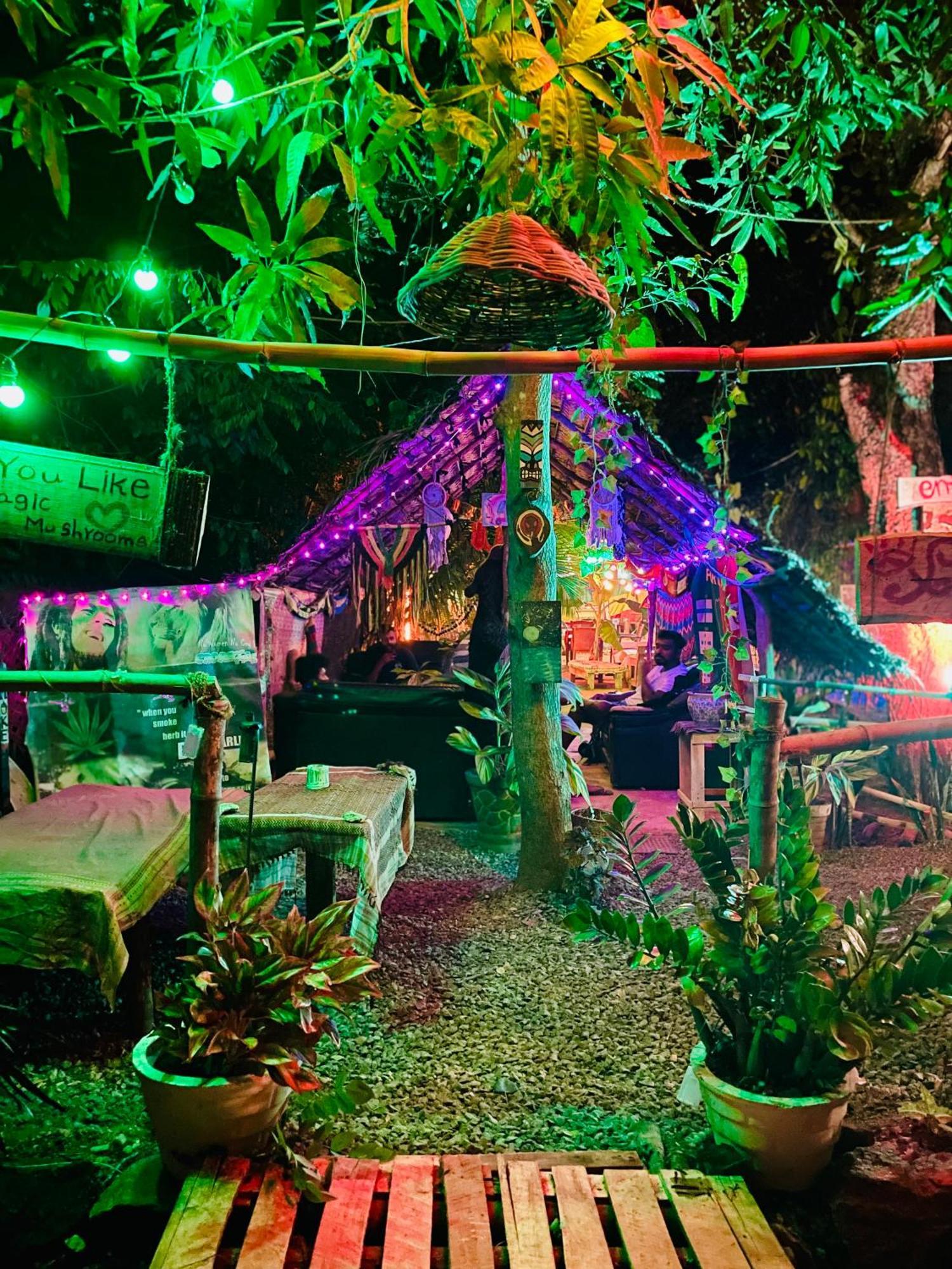 סיגירייה Reggae Paradise Hostel מראה חיצוני תמונה